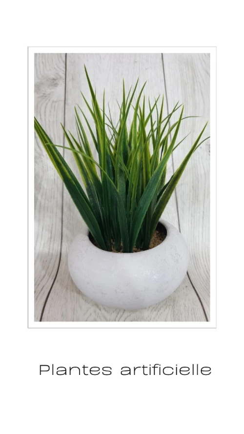 Plantes Artificielles