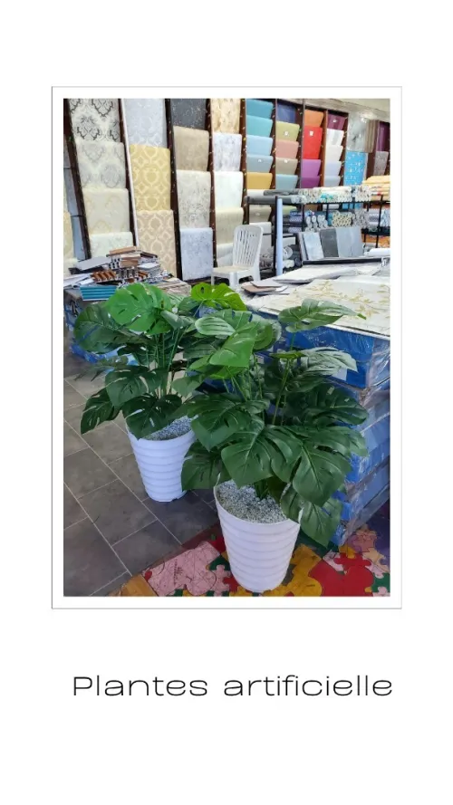 Plantes Artificielles