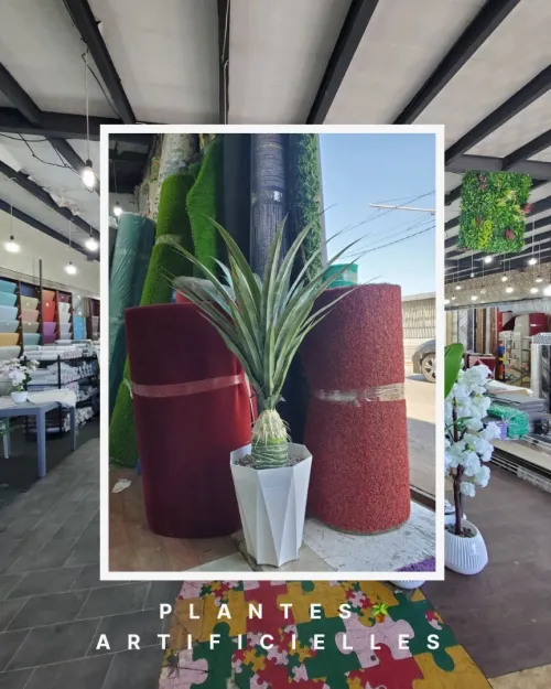 Plantes Artificielles