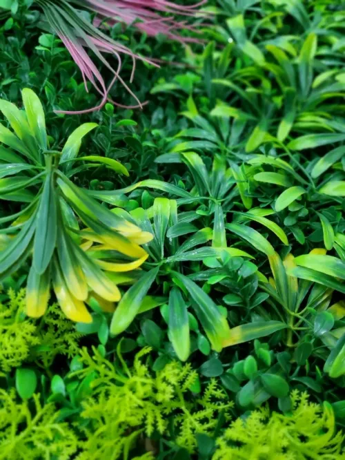PANNEAU MURAL fleurs  - مزيج من النباتات