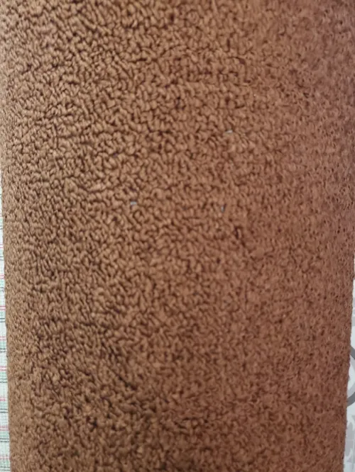 Moquette
