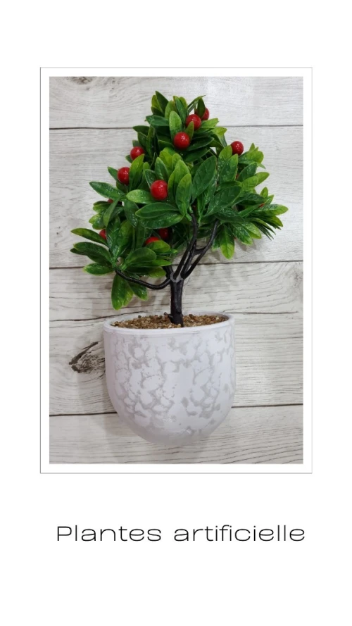 Plantes Artificielles