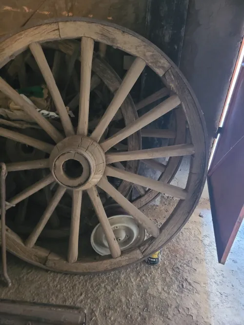 Roue de charue versoir