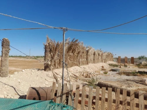 Vente Terrain Agricole Touggourt Megarine