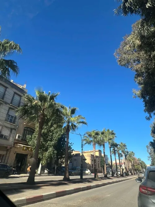 Vente Local Aïn Témouchent Ain temouchent