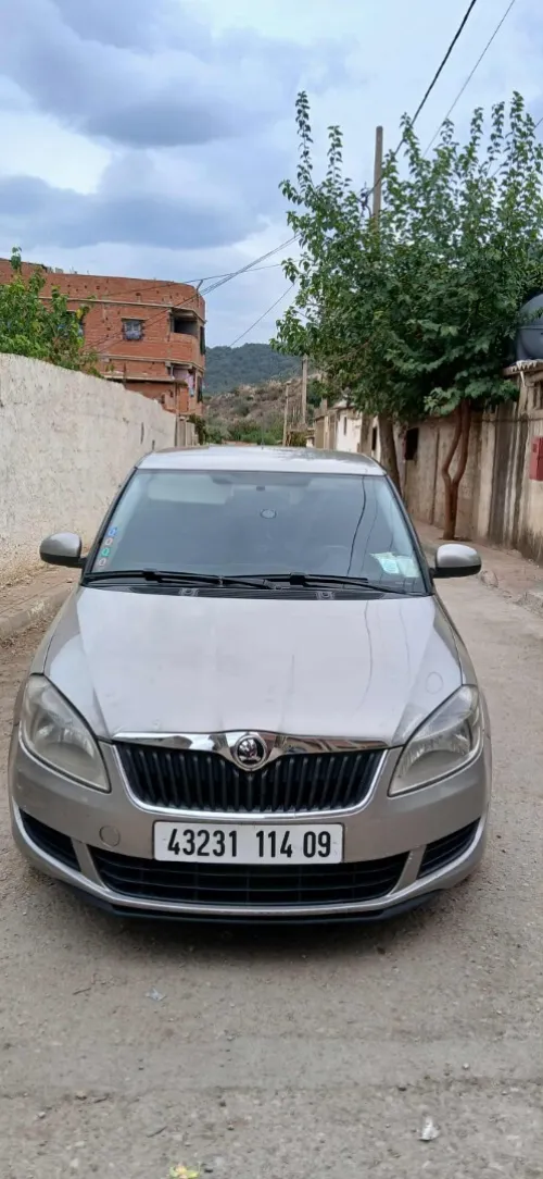 Skoda Fabia 2014 Visage