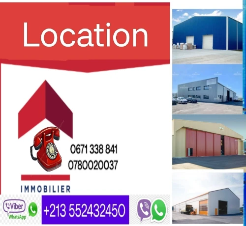 Location Hangar Blida Larbaa