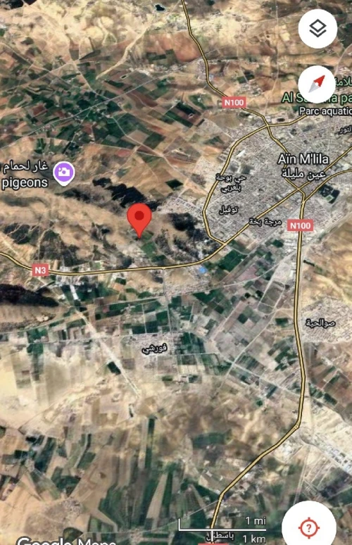 Vente Terrain Agricole Oum El Bouaghi Ain mlila