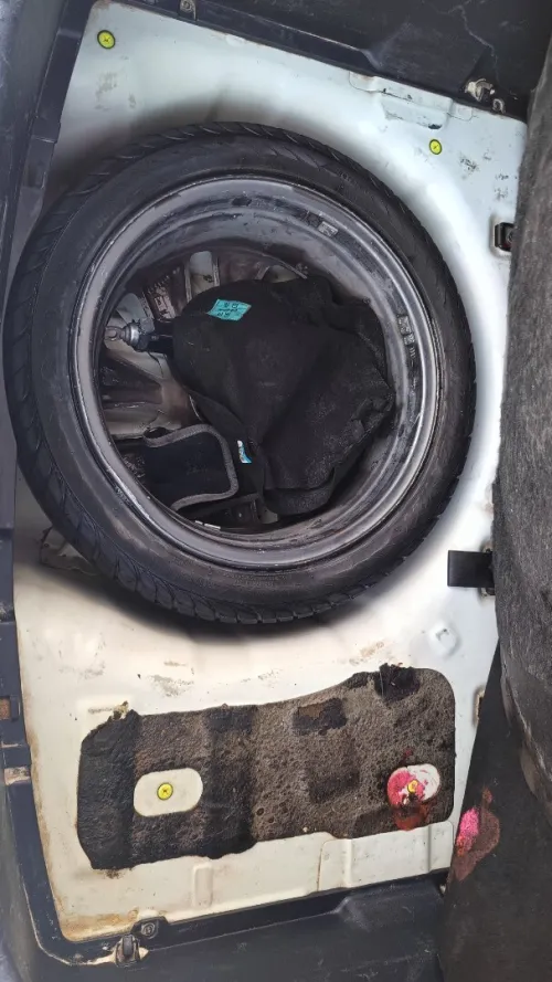 Kia Rio 5 portes 2015 Funny