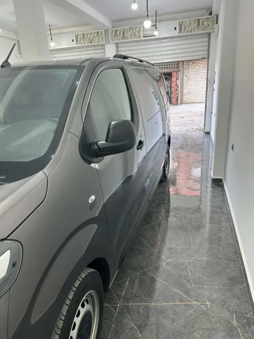 Fiat Scodo 2024