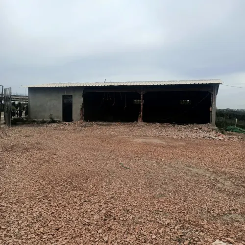Vente Hangar - Usine Boumerdès Larbatache