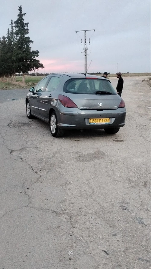 Peugeot 308 2011 308
