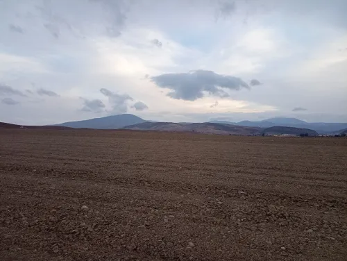 Vente Terrain Agricole Aïn Defla Oued djemaa