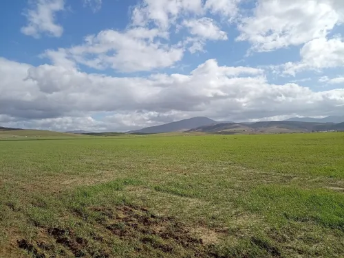 Vente Terrain Agricole Aïn Defla Oued djemaa