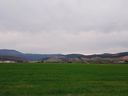 Vente Terrain Agricole Aïn Defla Oued djemaa