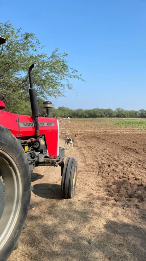 Vente Terrain Agricole Aïn Témouchent Sidi boumedienne
