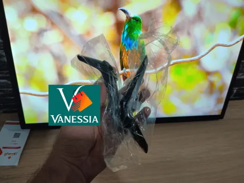 Télévision Marque Cristor 32P + Démo+ Support