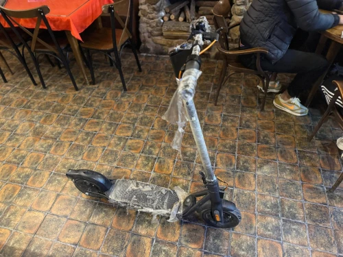 Ninebot F2 plus 