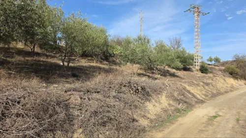 Vente Terrain Sétif Hammam guergour