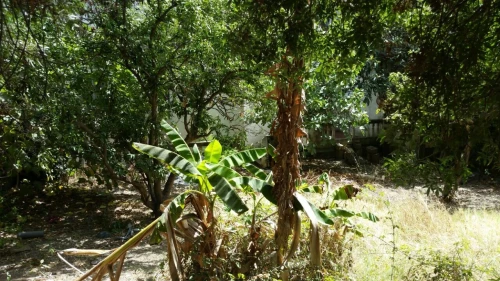 Location Villa Skikda Skikda
