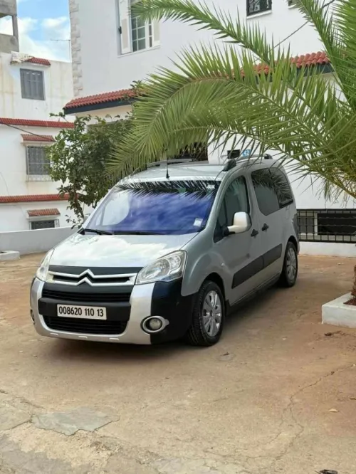 Citroen Berlingo 2010 Berlingo