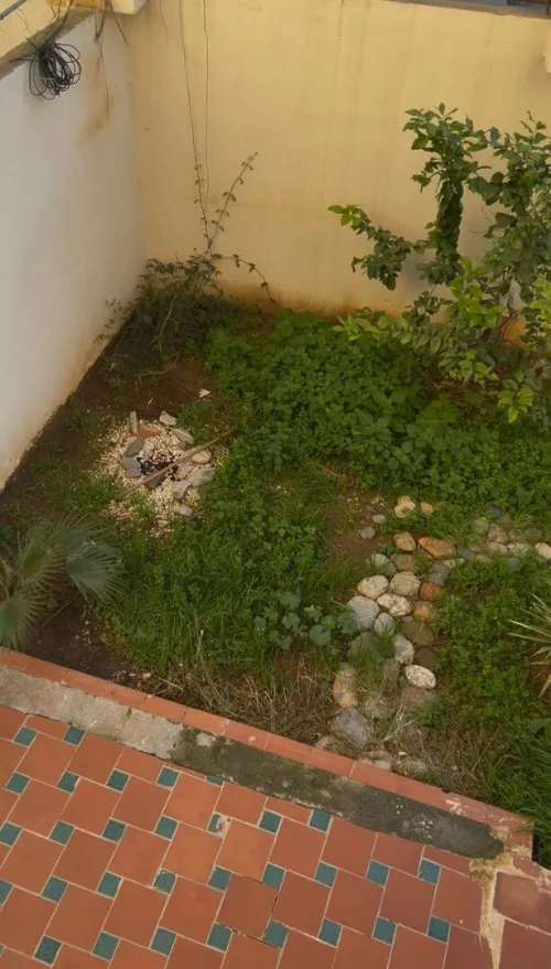 Location Appartement Duplex F4 Alger Cheraga