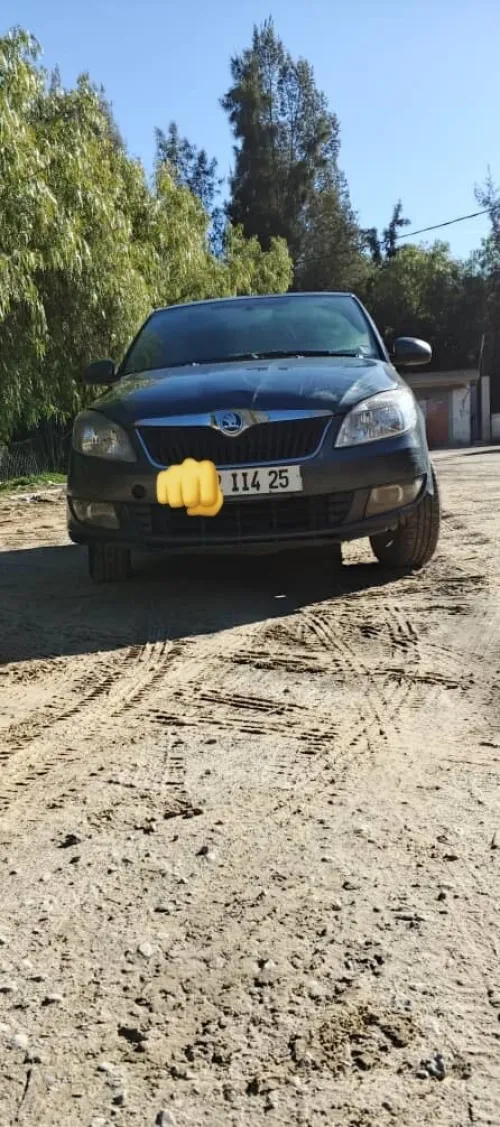 Skoda Fabia 2014 Fresh