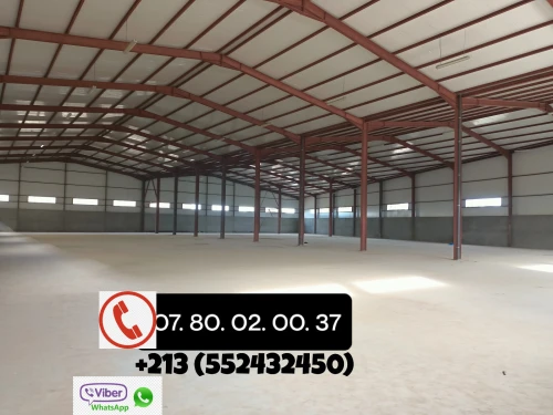 Location Hangar - Usine Tipaza Tipaza