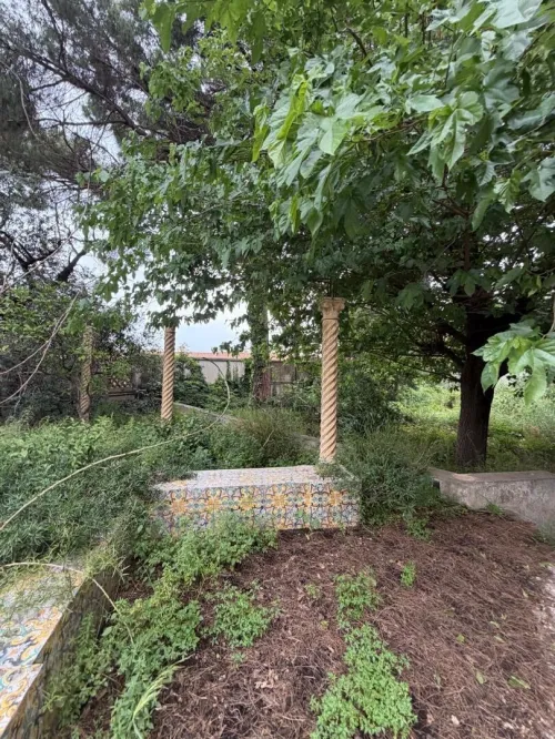 Vente Terrain Alger El biar 3