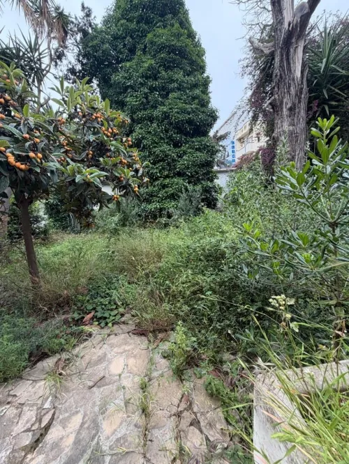 Vente Terrain Alger El biar 2