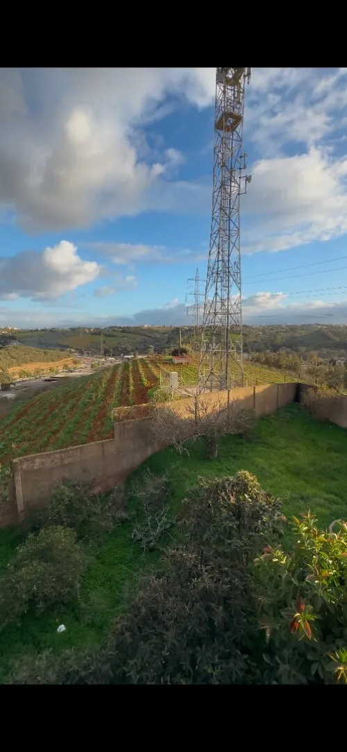 Vente Terrain Alger Draria