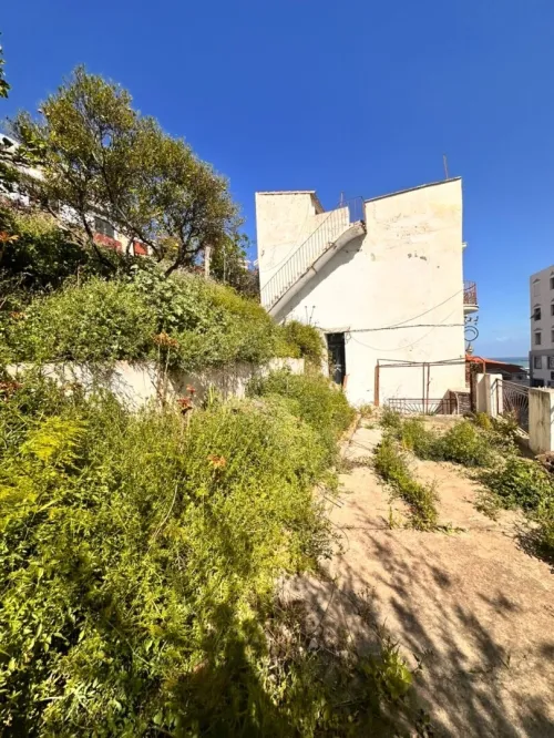 Vente Terrain Alger Alger centre