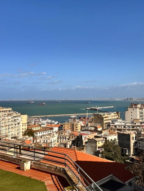 Vente Terrain Alger Alger centre