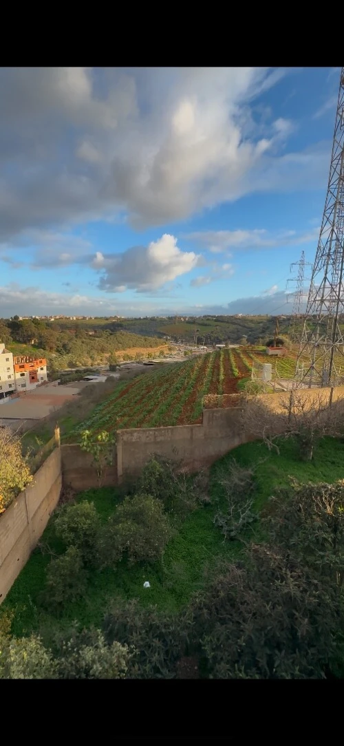 Vente Terrain Alger Draria