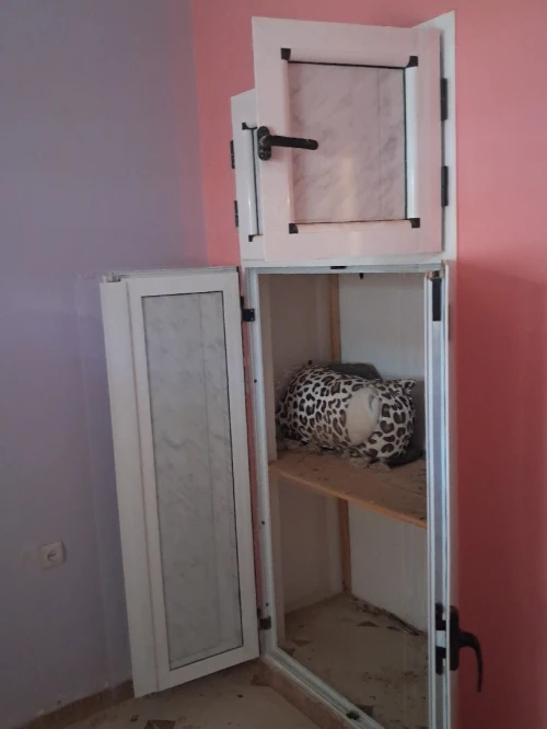 Vente Appartement F4 Tiaret Tiaret