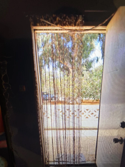 Location bien immobilier Oran Ain el bia