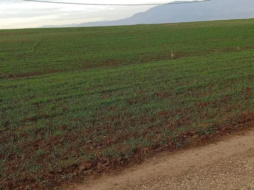 Vente Terrain Aïn Defla Bordj emir khaled chikh