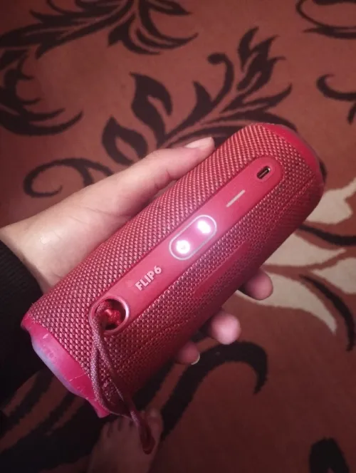 Jbl Flip6 dorigine