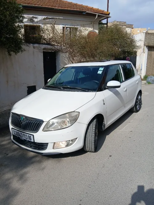 Skoda Fabia 2013 Fresh