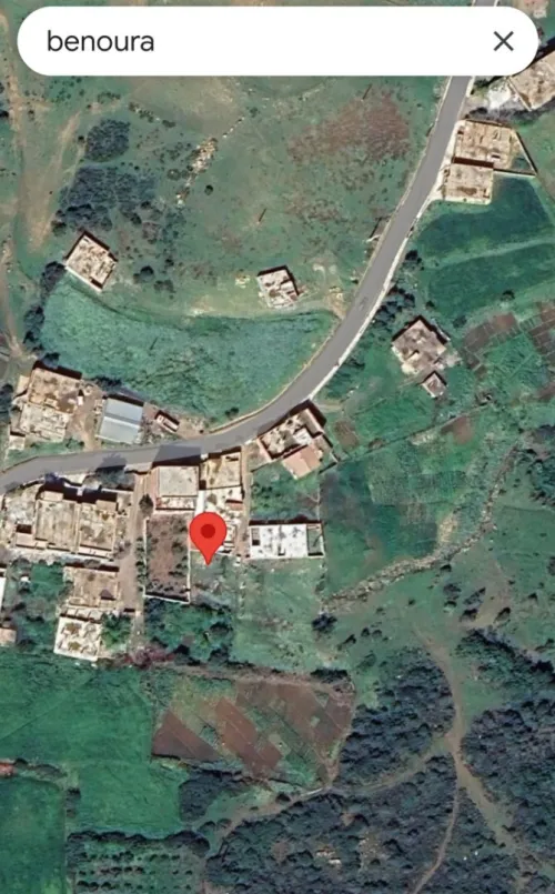 Vente Terrain Boumerdès El kharrouba