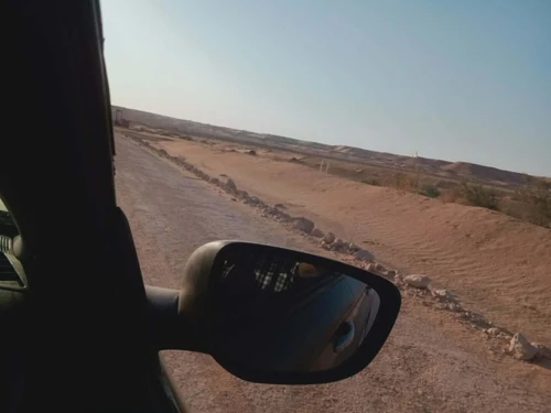 Vente Terrain Agricole Ouargla Ain beida
