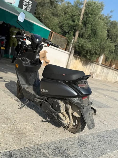 Coxi 2 2024