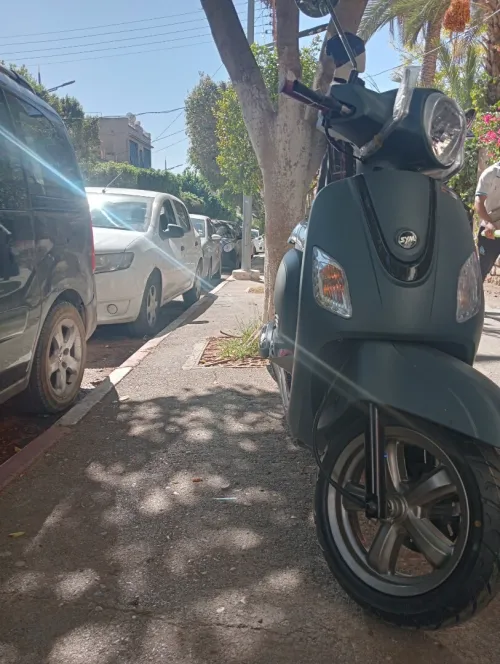 Sym Fiddel 3 2025