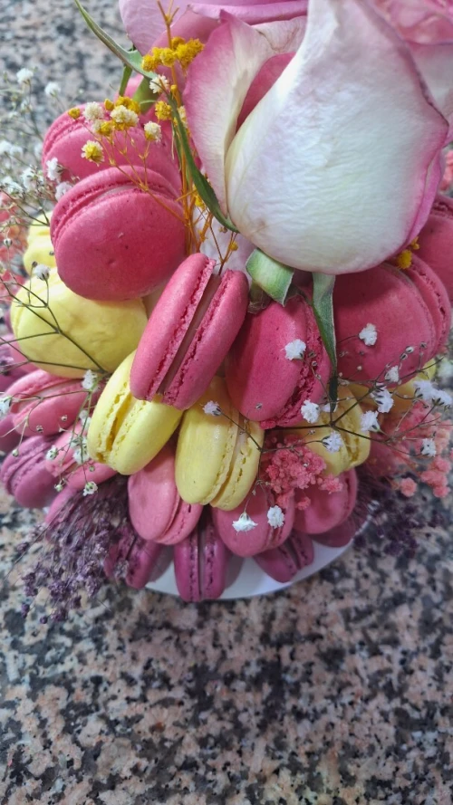 Macarons 