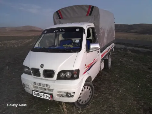 DFSK Mini TRUk 2013