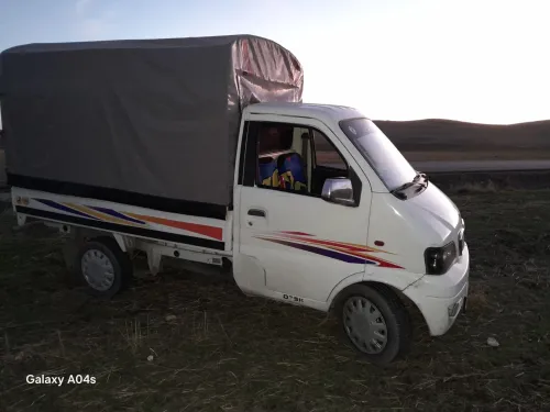 DFSK Mini TRUk 2013