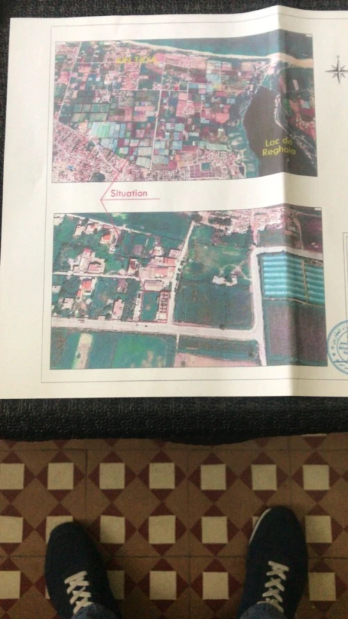 Vente Terrain Alger Ain taya