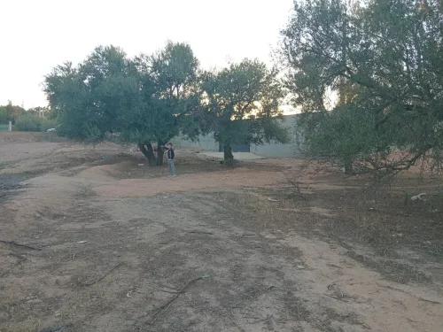 Vente Terrain Bouira Ath mansour taourirt
