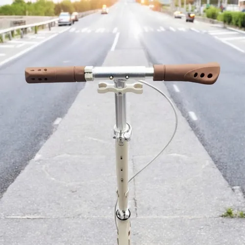Trottinette pour adults