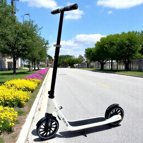 Trottinette pour adults